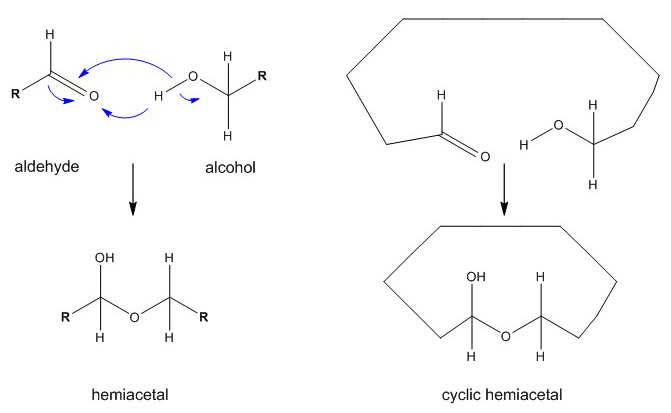 Glucose chemical formulas molecular structure Vector Image